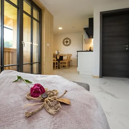 Apartment Pr 'agotnik & Bohinj