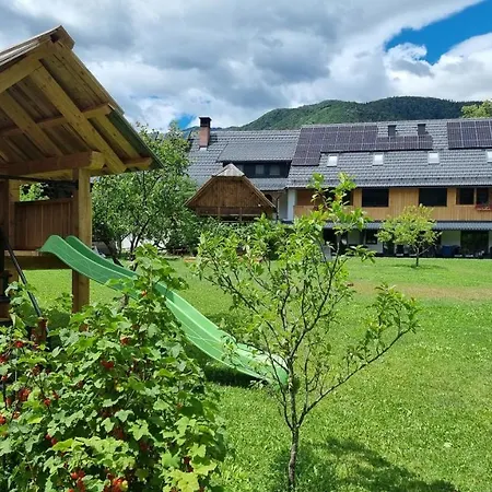 Apartment Pr 'agotnik & Bohinj